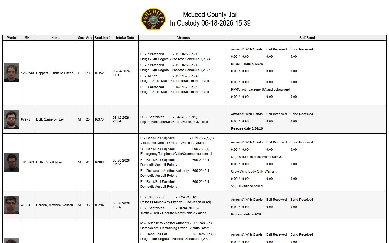 McLeod County inmate custody list roster fields